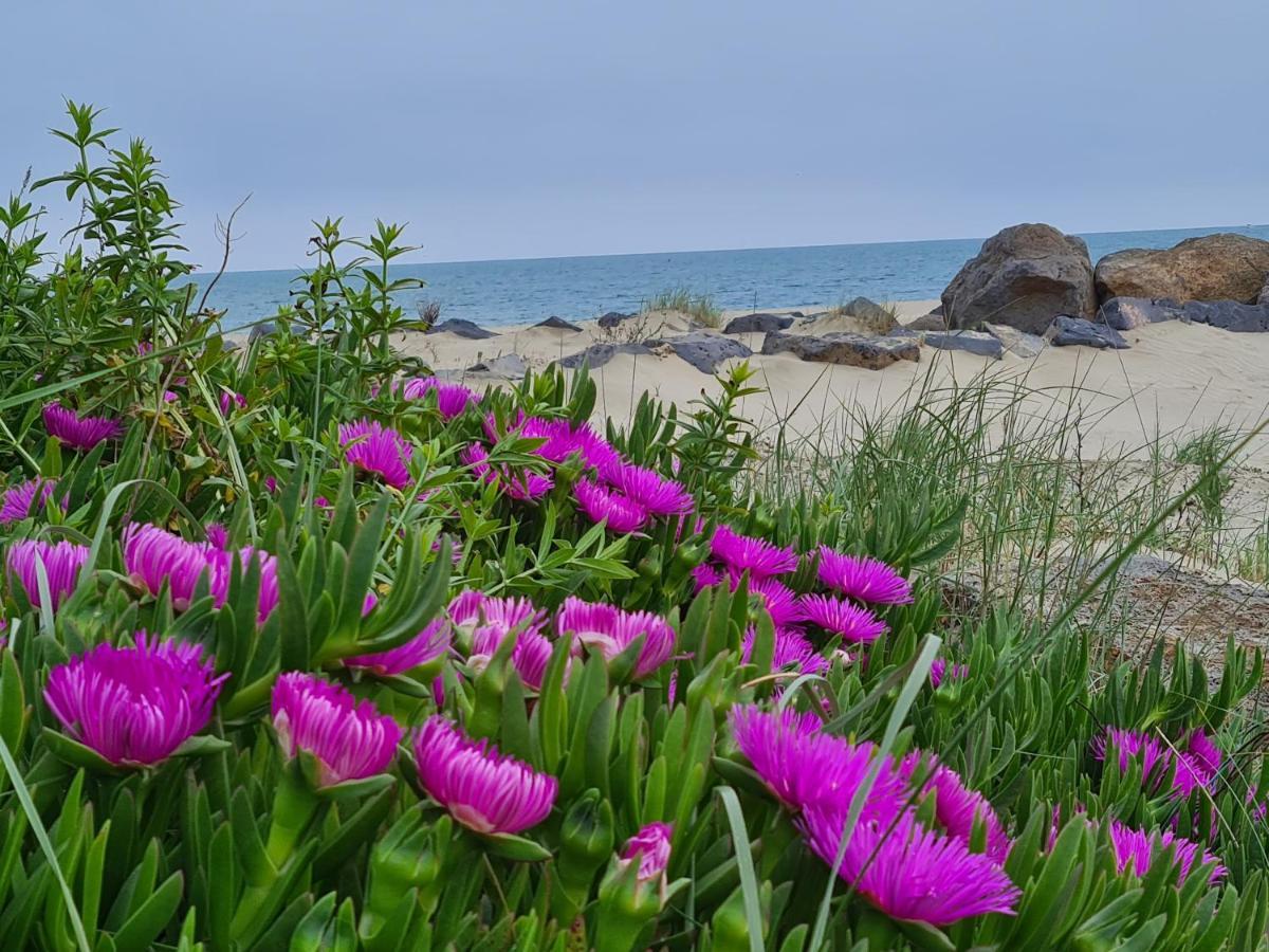 Camping Les Sables D'Or Cap D'Agde Ле-Гро-д'Агд Экстерьер фото